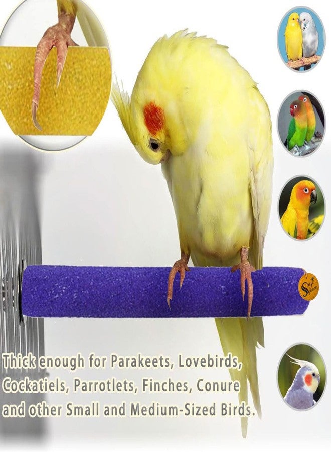 سايج سكوير مجموعة مجاثم رملية عادية ومربعة من خشب طبيعي خشن مقاس 8 بوصات مع مسمار طحن | حامل لعب، تدريب، ملحقات قفص | مناسبة للعصافير، الببغاوات، البادجي، الكوكاتيل (عبوة من قطعتين) - Image 5